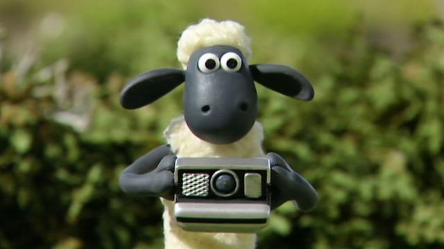 Shaun Shoots the Sheep