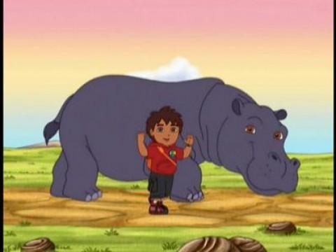 Diego Reunites Hippo & Oxpecker