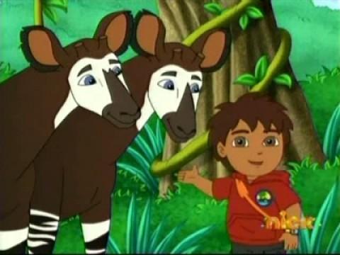 Where is Okapi's Brother?