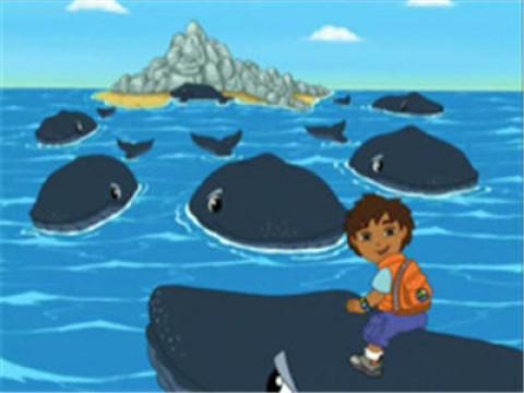 Diego Saves Baby Humpback Whale