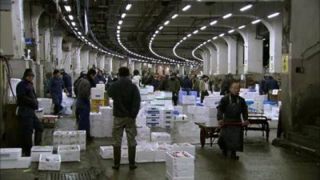 Tsukiji; Cricket Bats; Parcels