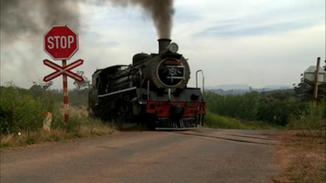 Geoduck Clams, Vintage Steam Trains, Water Polo Hats