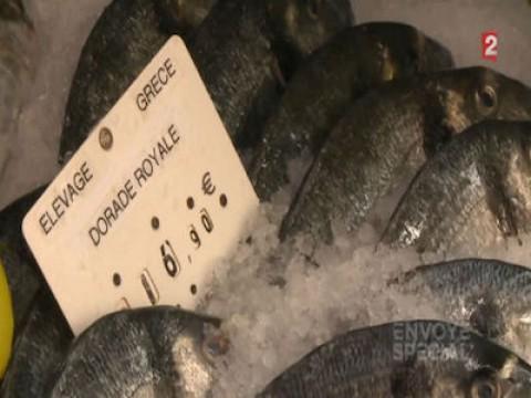 Poissons : élevage en eaux troubles