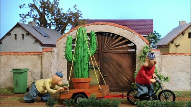 Cactus