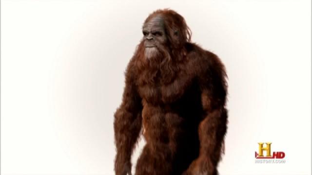 Bigfoot: The Definitive Guide