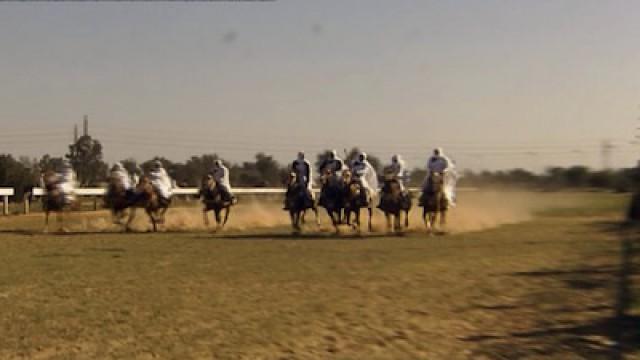 Libya - The Ancient Chariots of Libya