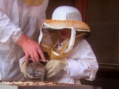 Learning About Beekeeping.