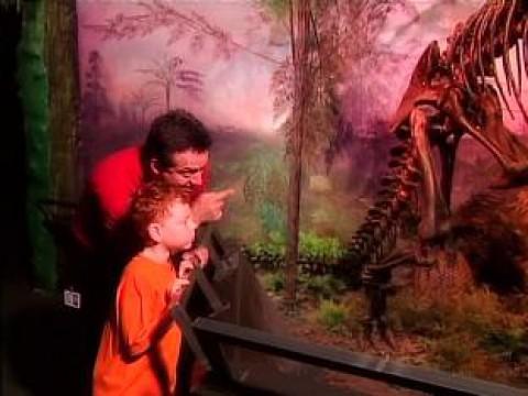 Learning About Dinosaurs.