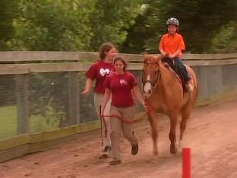 Learning To Ride a Horse.