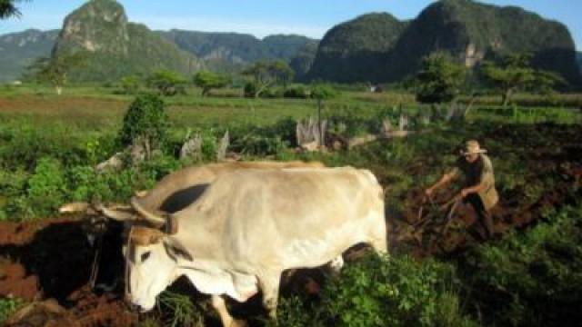 Cuba: The Accidental Eden