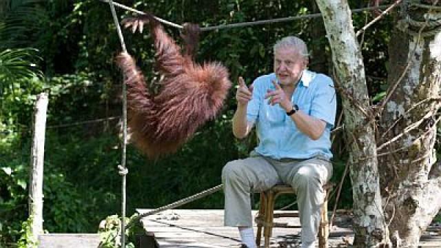 Attenborough's Life Stories: Our Fragile Planet