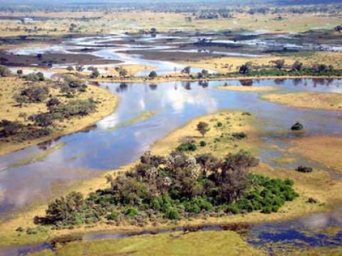 Kalahari: The Flooded Desert