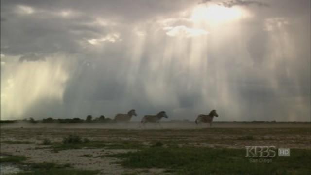 Kalahari: The Great Thirstland