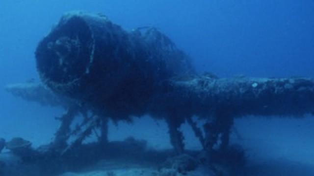 War Wrecks in the Coral Seas