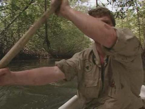 Jungle Survival