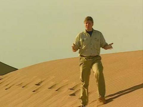 The Sahara Desert