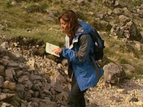 Haystacks