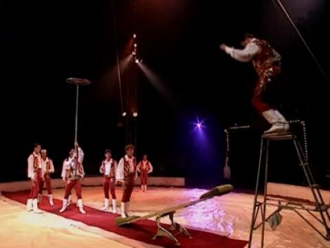 Tous en piste : la vie d'un cirque