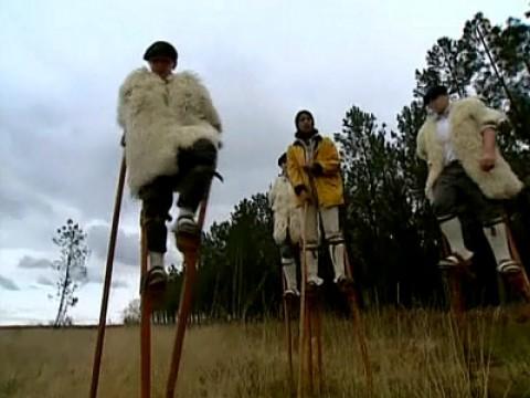 Les Landes : sous la forêt, la plage