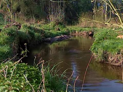 L'eau en danger