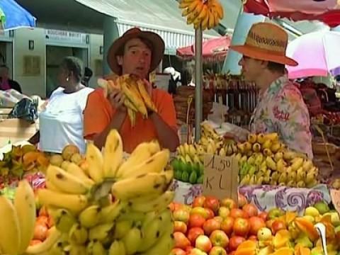 Les bananes : les sorciers à plein régime