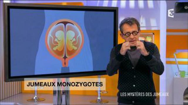 Les mystères des jumeaux