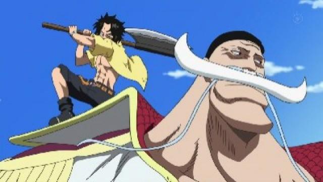 The Beginning of the War - Ace and Whitebeard's Past!