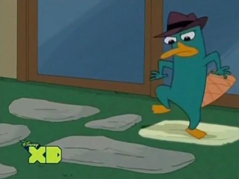 Perry a disparu