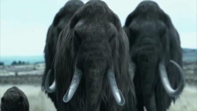 Woolly Mammoth: The Autopsy