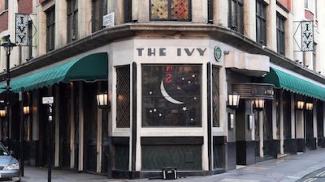 The Ivy