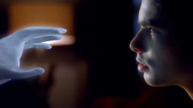 Sin cerebro