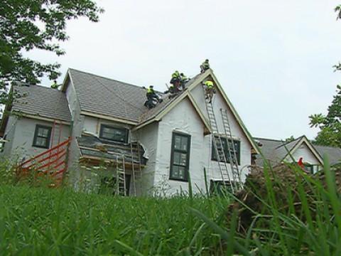 Exterior Harmony: Roofing