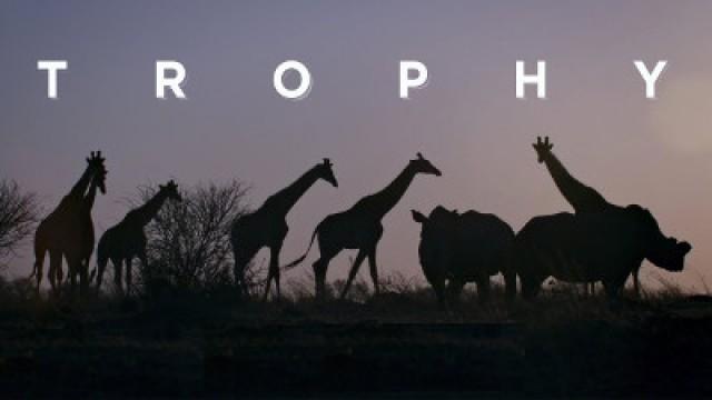 Trophy: The Big Game Hunting Controversy