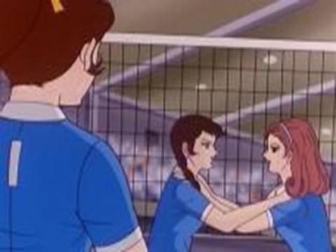 Volleyball fever