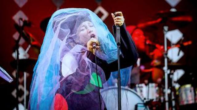Little Dragon