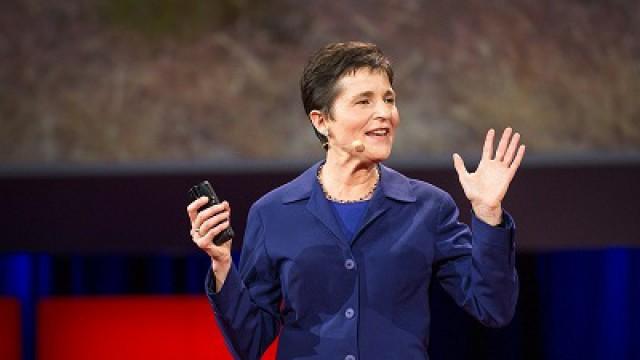 Deborah Gordon: What ants teach us about the brain, cancer and the Internet