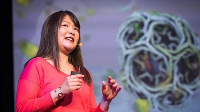 Janet Iwasa: How animations can help scientists test a hypothesis