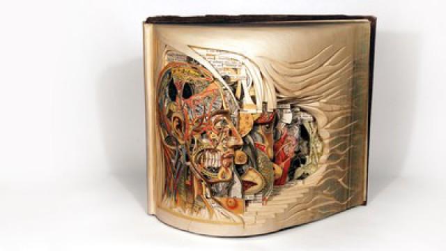 Brian Dettmer: Old books reborn as art