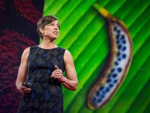 Pamela Ronald: The case for engineering our food