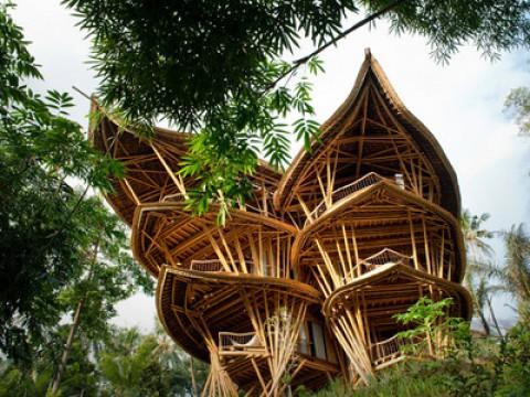 Elora Hardy: Magical houses, made of bamboo