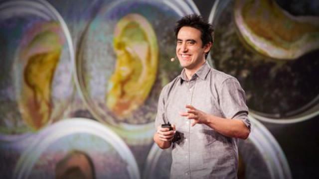 Andrew Pelling: This Scientist Makes Ears Out Of Apples