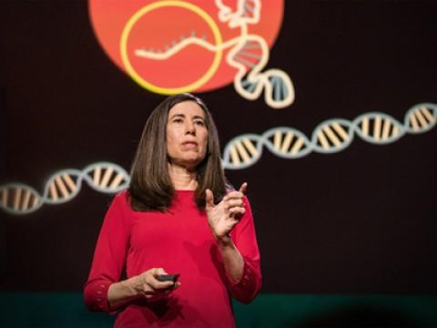 Ellen Jorgensen: What you need to know about CRISPR