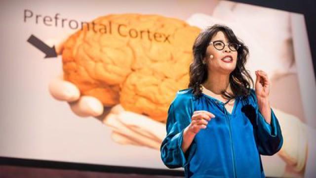 Wendy Suzuki: The brain-changing benefits of exercise