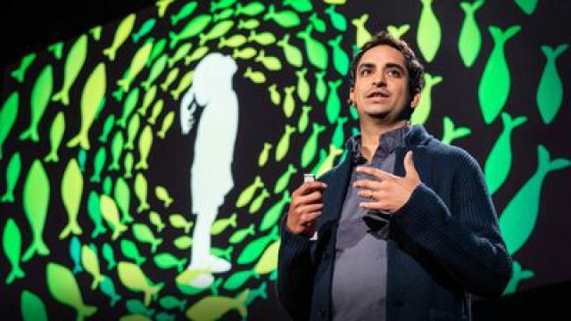 Prosanta Chakrabarty: Four billion years of evolution in six minutes