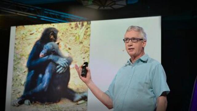 Frans de Waal: The surprising science of alpha males