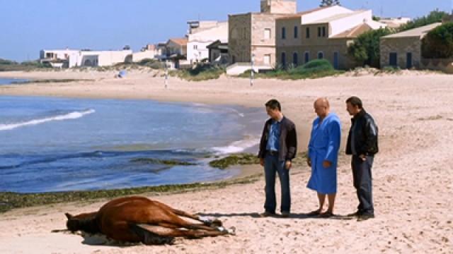 La piste de sable