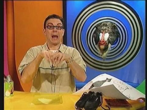 26/3/1999