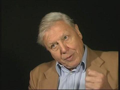 David Attenborough Interview