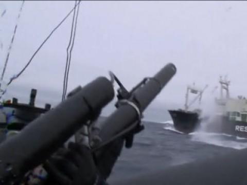 The Thrill of the Chase