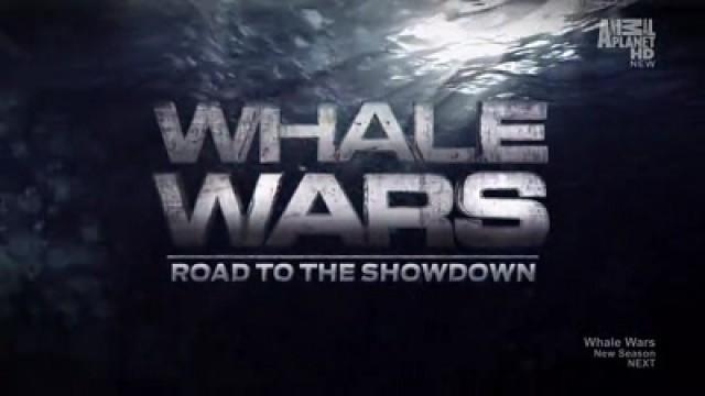Road to the Showdown